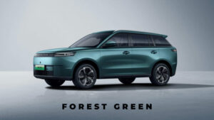 j5-forest-green